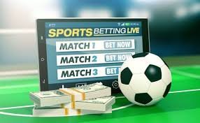 Betwinner Your Ultimate Sports Betting Partner