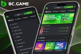 Explore the BC.Game DK Mobile Application Gaming at Your Fingertips